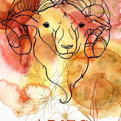 Wallpaper Aries 1 (NVAries055)